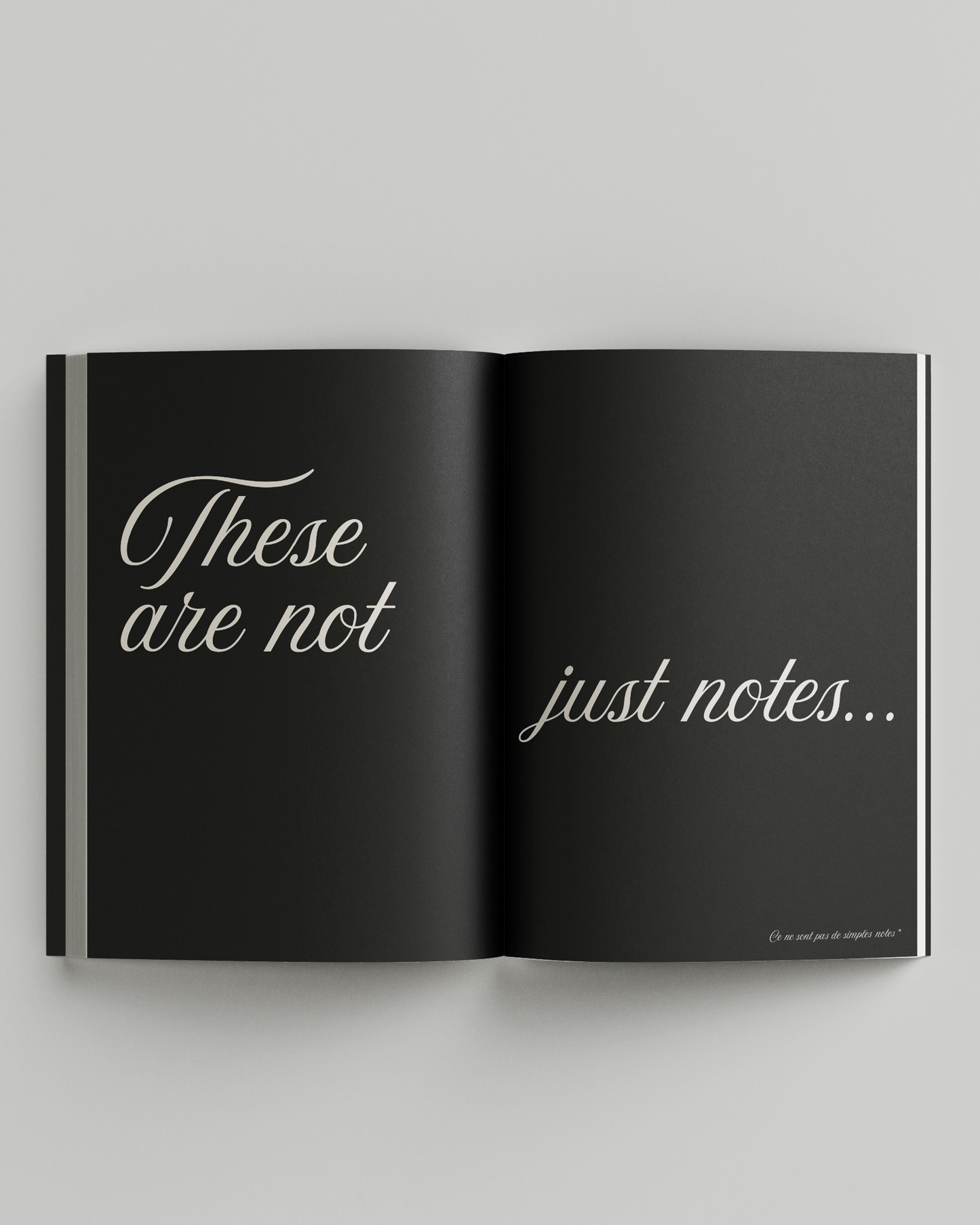 MY FAVORITE NOTEBOOK